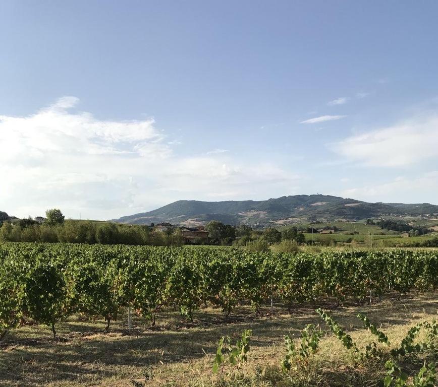La Boheme, Gite De Charme Quincié-en-Beaujolais Buitenkant foto