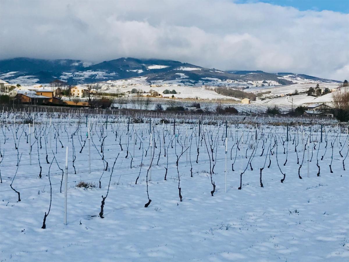 La Boheme, Gite De Charme Quincié-en-Beaujolais Buitenkant foto