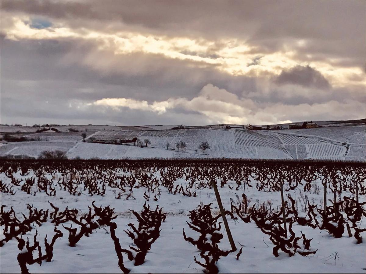La Boheme, Gite De Charme Quincié-en-Beaujolais Buitenkant foto